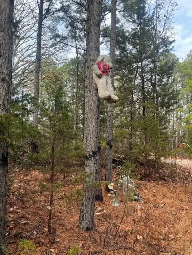 Разные неожиданные и жуткие находки в лесу