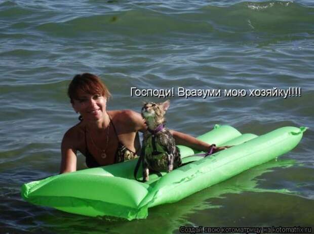Мысли вслух :)