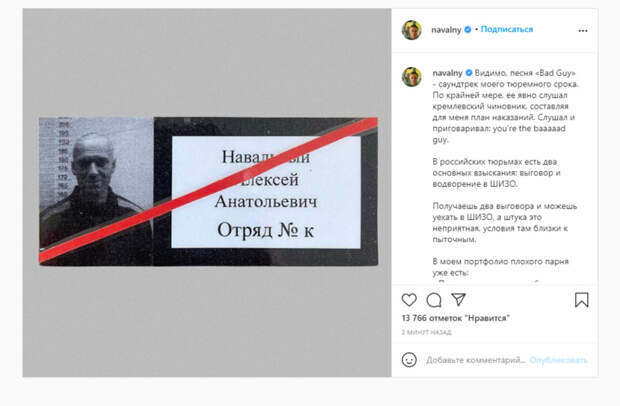 Навальный получил 20 выговоров в колонии за месяц