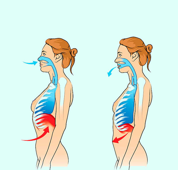 Техника дыхания по Бутейко, которая оздоравливает весь организм