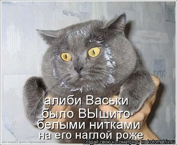 Весёлая Котоматрица