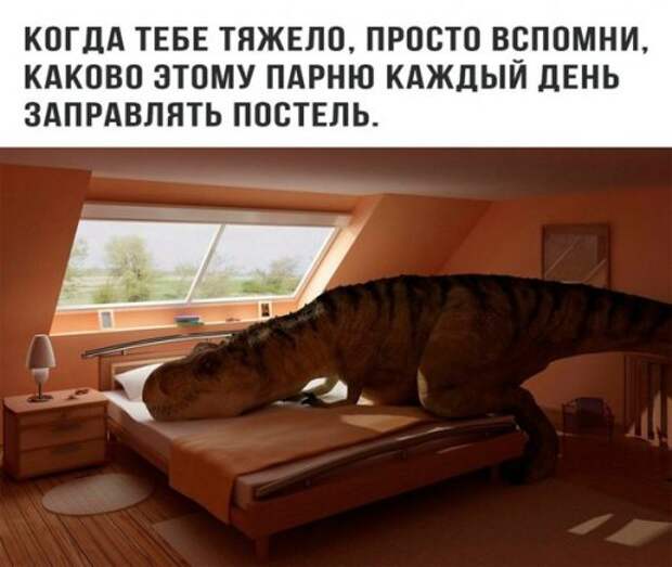 Прикольные фотомемы (23 шт)