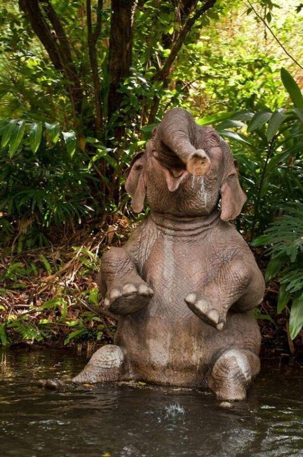 Слон — очень аккуратный зверь, ты слухам про него не верь