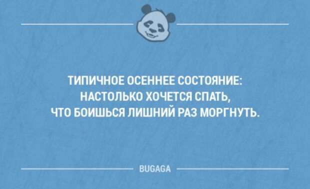 Забавные мысли и высказывания. Часть 72 (16 шт)
