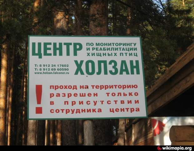 Иллюстрации из открытых источников Иллюстрации из открытых источников