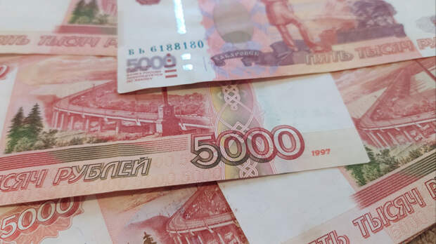 Путин шутливо призвал Сбер и ВТБ «не высасывать, как пылесос» деньги из других банков