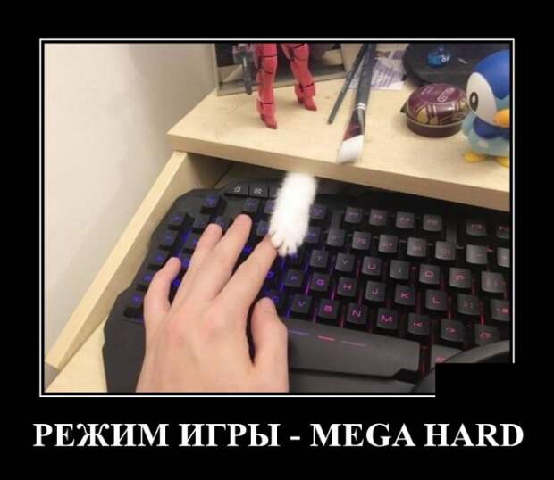 www.vsyako.net