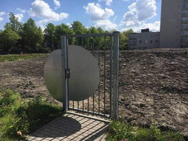 Прикольные картинки Прикольные картинки