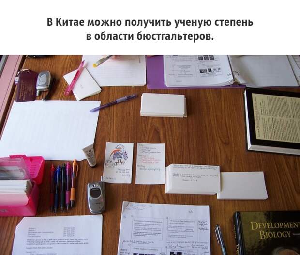25 малоизвестных фактов о груди, которые должен знать каждый грудь, факты