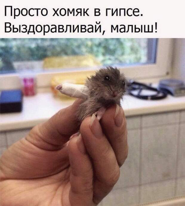Интригующие картинки с надписью для веселья (11 фото) Интригующие картинки с надписью для веселья (11 фото)