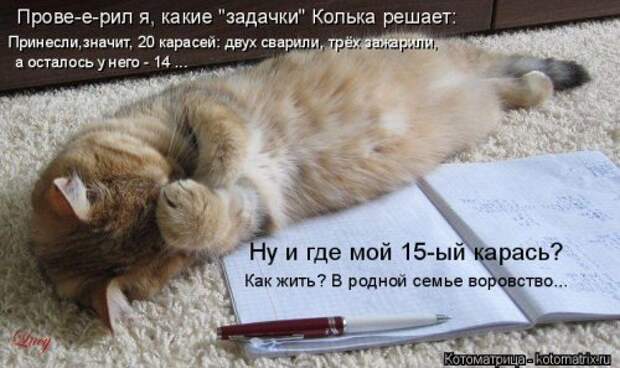 Новые котоматрицы для настроения (32 шт)