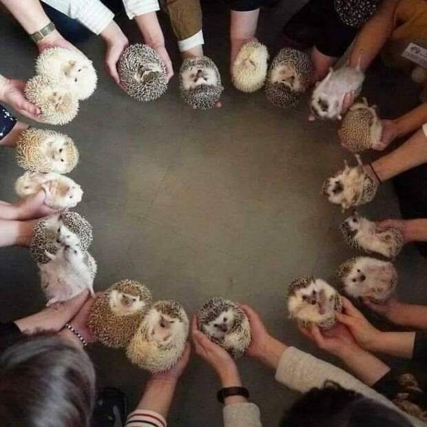 Подборка прикольных картинок