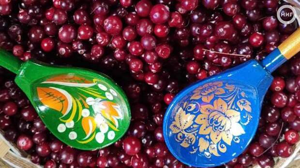 В Ноябрьске вновь пройдёт гастрономический фестиваль «Клюква»