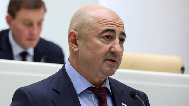 Бывший участник «Любэ», сенатор Александр Вайнберг покинет Совет Федерации