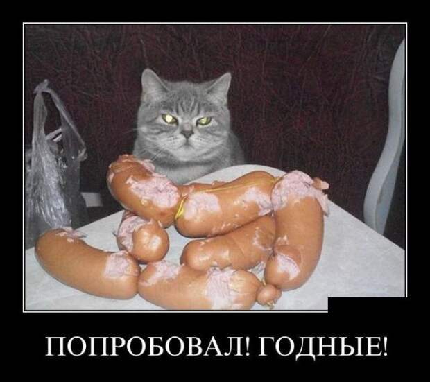 Демотиваторы (30 фото) Демотиваторы (30 фото)