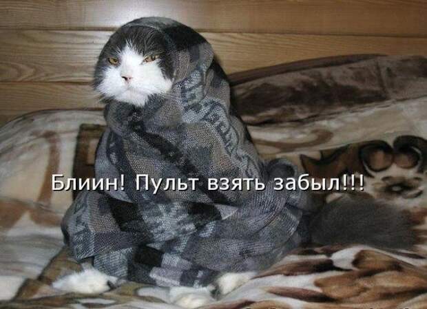 Всяко - разно 7  )))