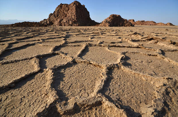 Прогулка по соляной эфиопской пустыне
