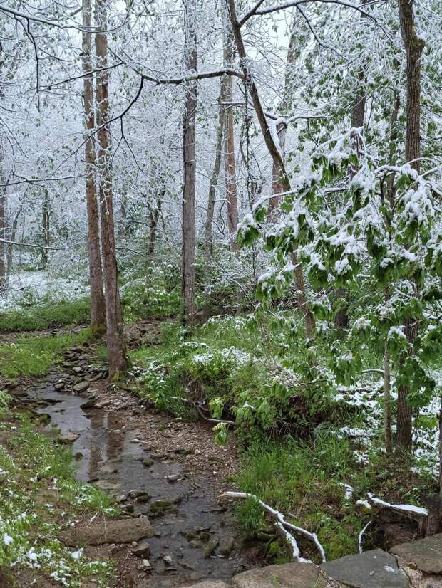 Красота природы на фотографиях