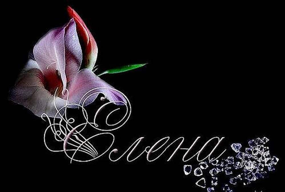 Имя лена. Стихи про елену красивые. Картинки с именами леночка. Все елены красивые. Все елены красивые.