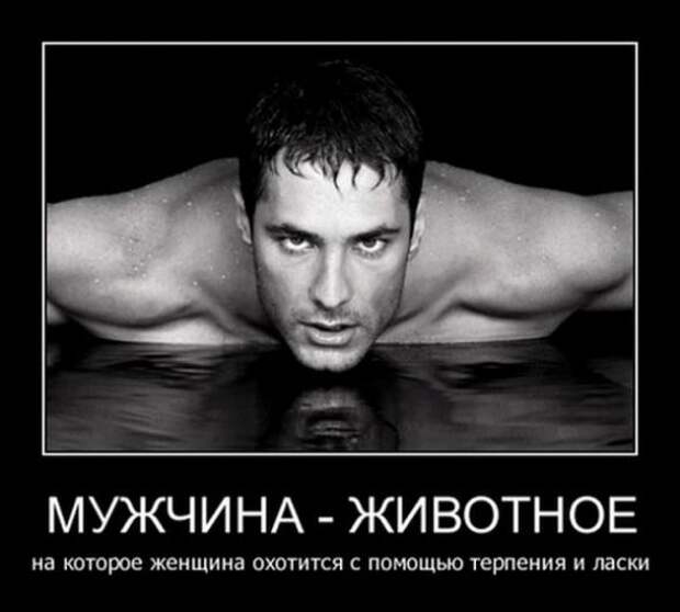 Новая подборка демотиваторов 12.06.11
