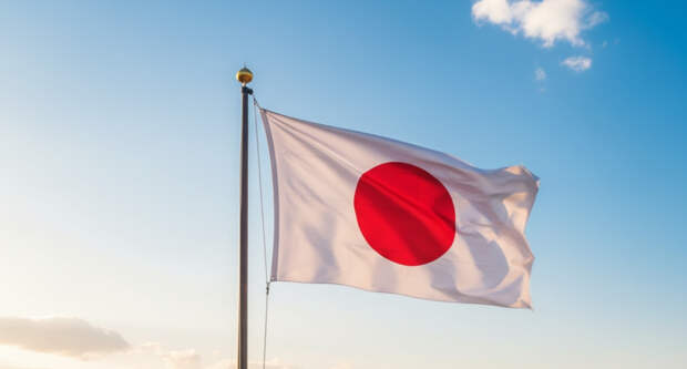 В Японии забили 230 тысяч кур из-за птичьего гриппа