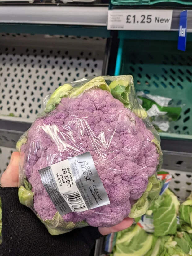 Необычные цвета в природе умеют удивлять