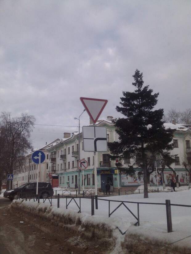 Приколы за рулём