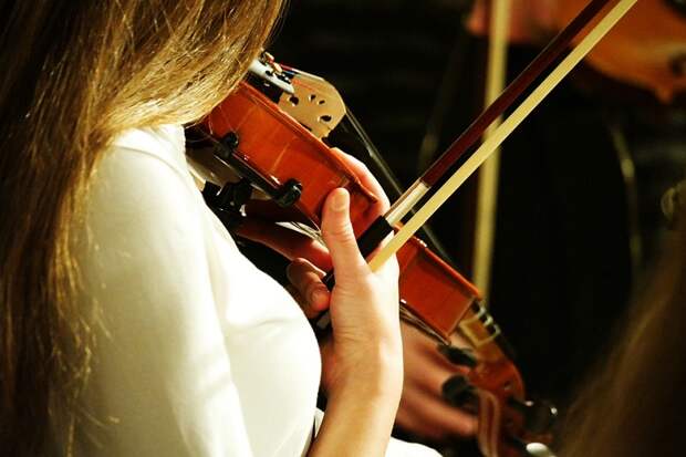 musician-3188857_960_720