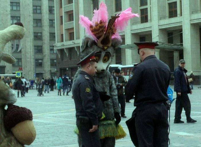 Подозрительный лемур.