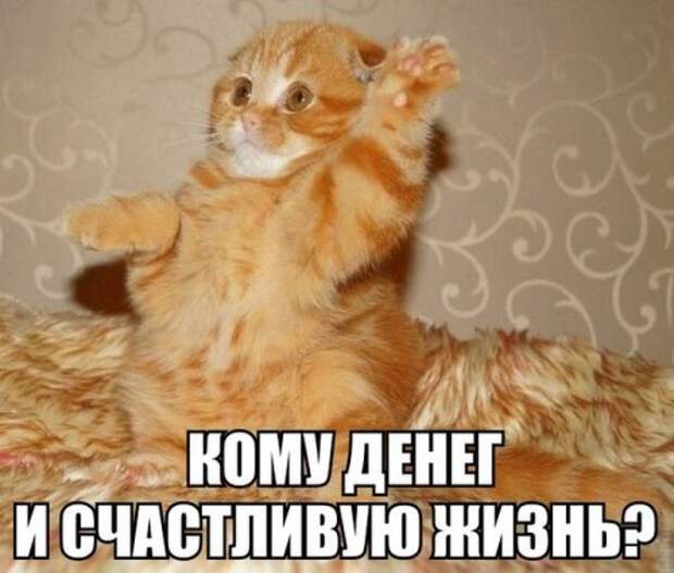 Свежие прикольные картинки (48 шт)