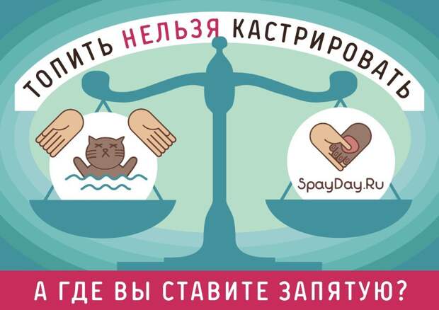 Картинки по запросу "всемирный день кастрации"