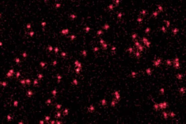 arXiv: новая техника визуализация показала преобразование атомов в энергию