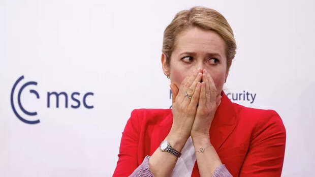 Британский аналитик: Требования Каллас к России пропитаны отчаянием Зеленского