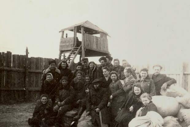 Представители депортированных народов в Сибири, 1949 год