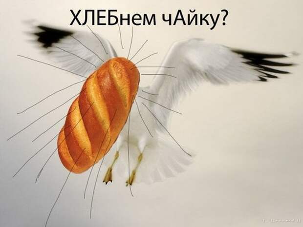 Прикольные картинки