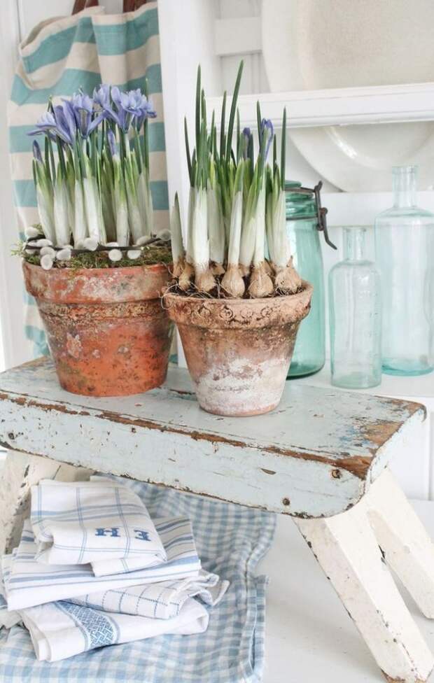 Шафран и интерьер в стиле прованс