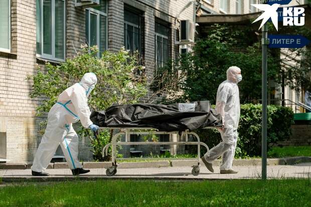 В странах, где БЦЖ прививались регулярно, смертность и заболеваемость росли не так быстро.