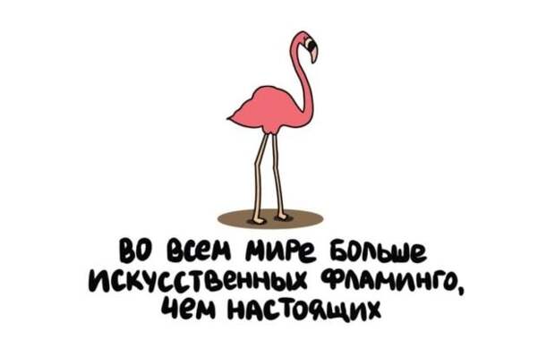 Короткие интересные факты обо всем