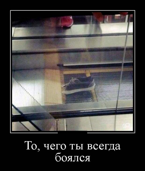 Демотиваторы