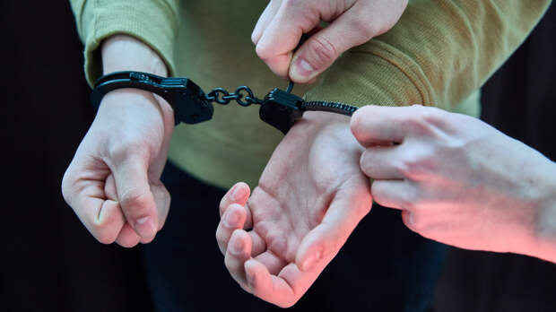 Мошенники под видом звонка из «Электросетей» обманули пенсионерку на миллион рублей