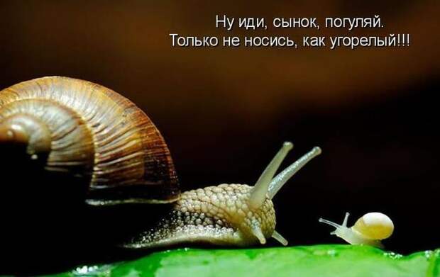 Мысли вслух :)