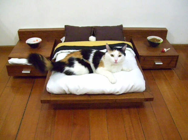 мебель для котов