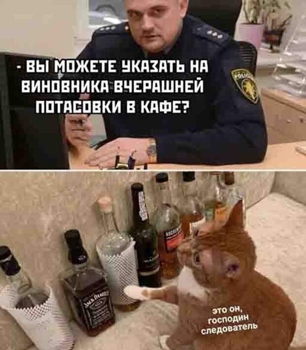 Шутки и мемы про алкоголь