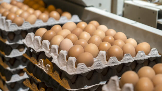 В ФАС заявили о тенденции к снижению цен на куриные яйца в России