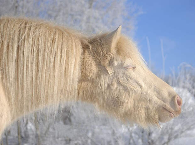 Лучшие фотографии National Geographic апреля 2014