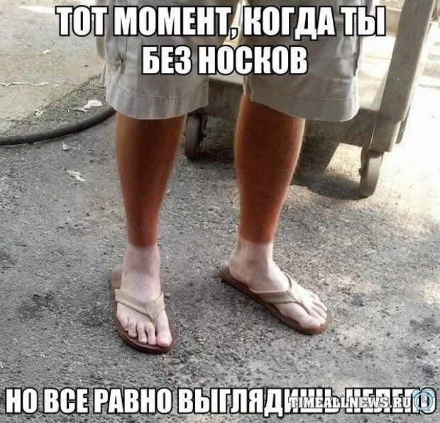 Прикольные картинки (88 фото) Прикольные картинки (88 фото)