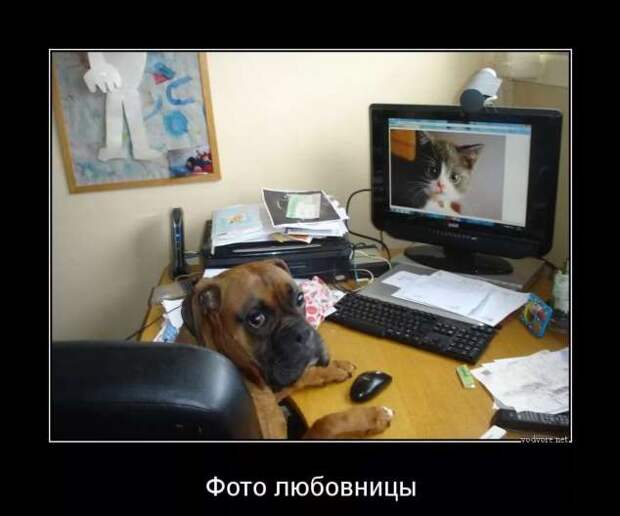 Прикольные демотиваторы с надписями. Подборка chert-poberi-dem-chert-poberi-dem-35480317082020-15 картинка chert-poberi-dem-35480317082020-15