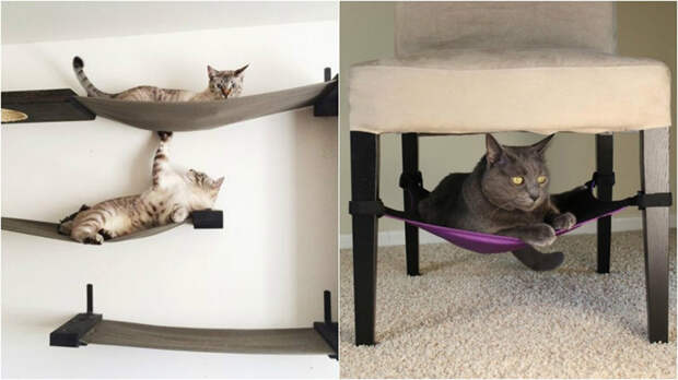 20 лайфхаков для счастливых хозяев кошек
