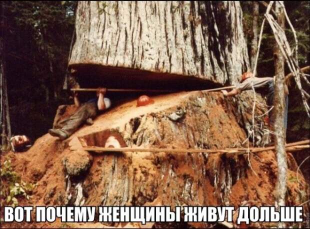 Так себе картинки