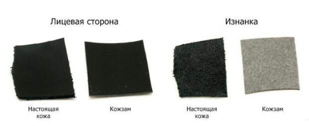 Прессованная кожа: что это, как отличить от настоящей